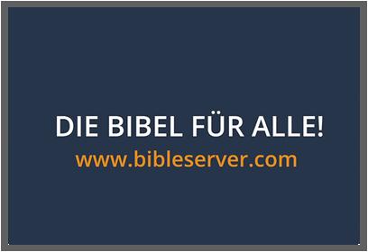 Bild verkleinern